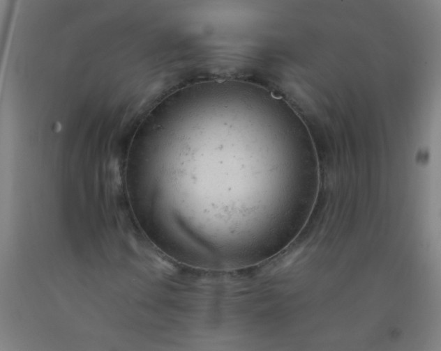 X0000092311106200709281341