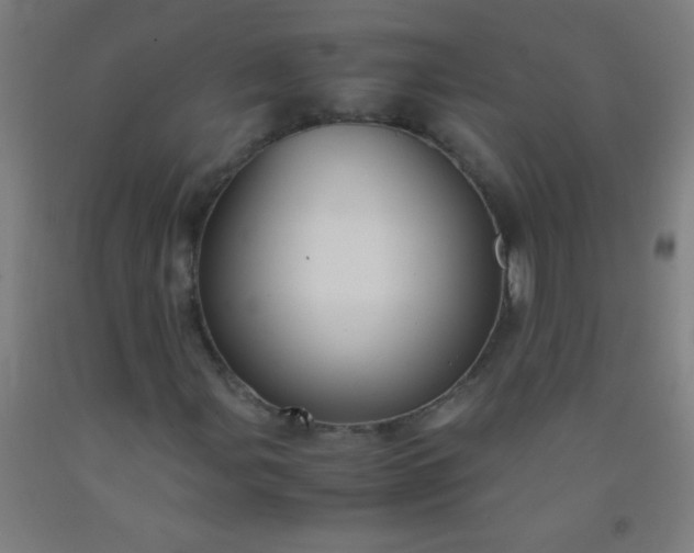 X0000092311107200709281341