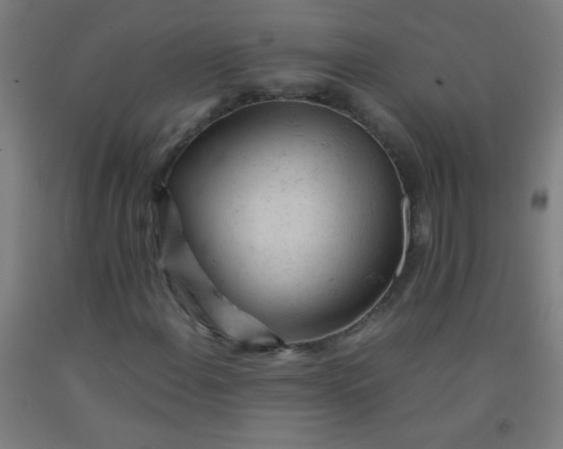 X0000092311108200709281341