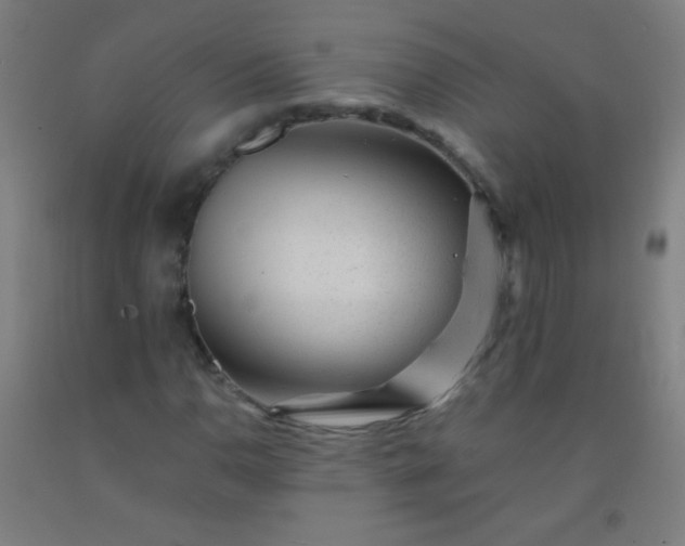 X0000092311110200709281341