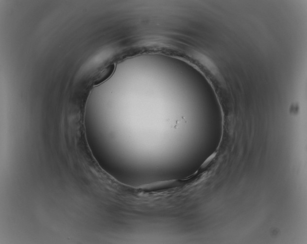 X0000092311111200709281341