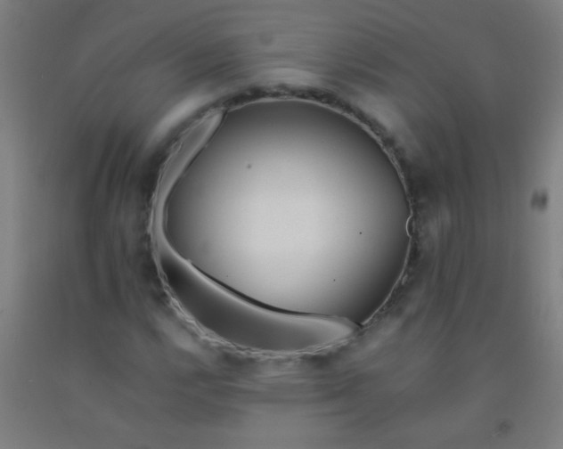 X0000092311112200709281341