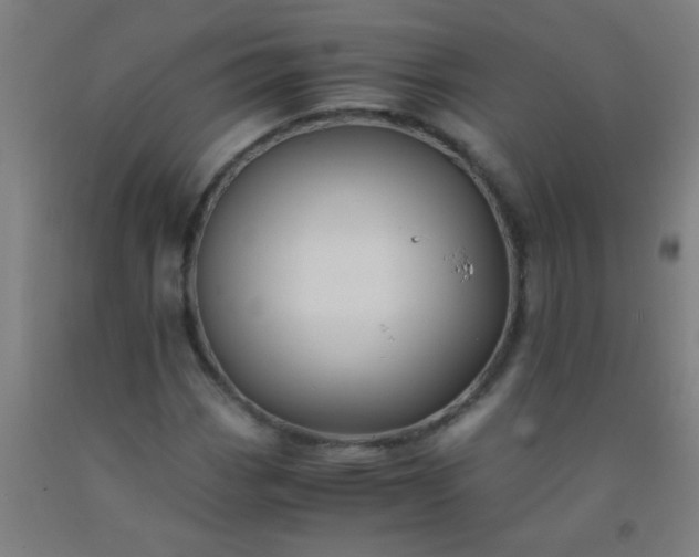 X0000092311113200709281341