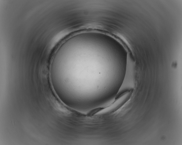 X0000092311115200709281341