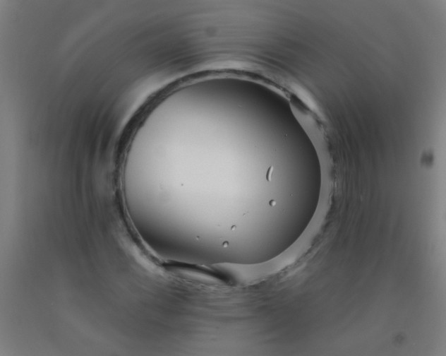 X0000092311116200709281341