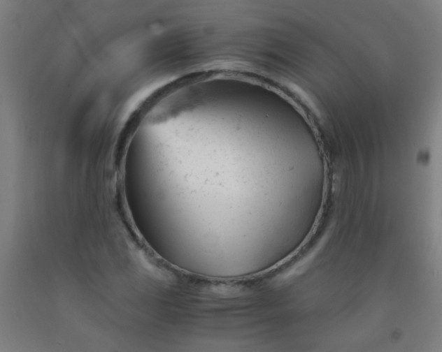 X0000092311117200709281341