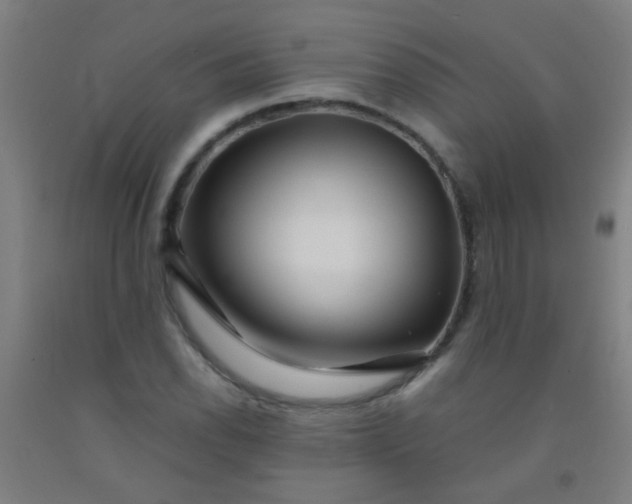 X0000092311118200709281341