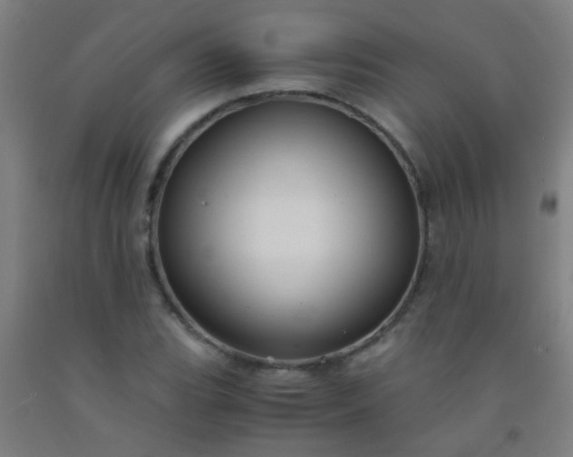 X0000092311119200709281341