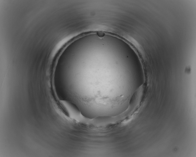 X0000092311120200709281341