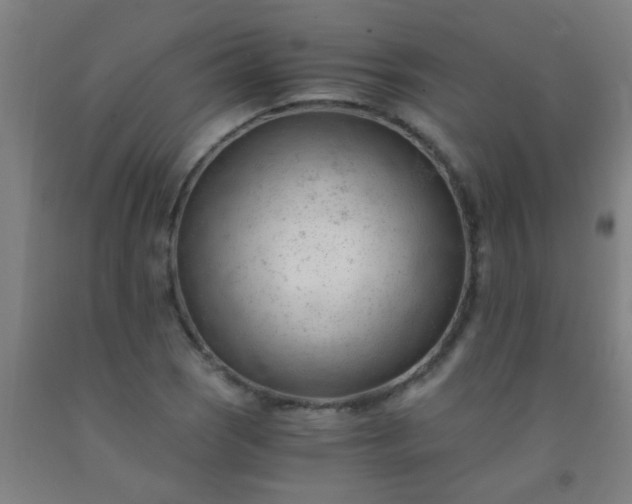 X0000092311121200709281341