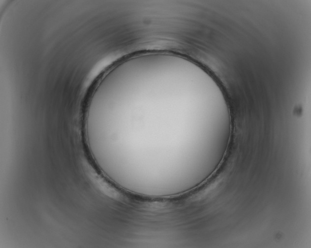 X0000092311122200709281341