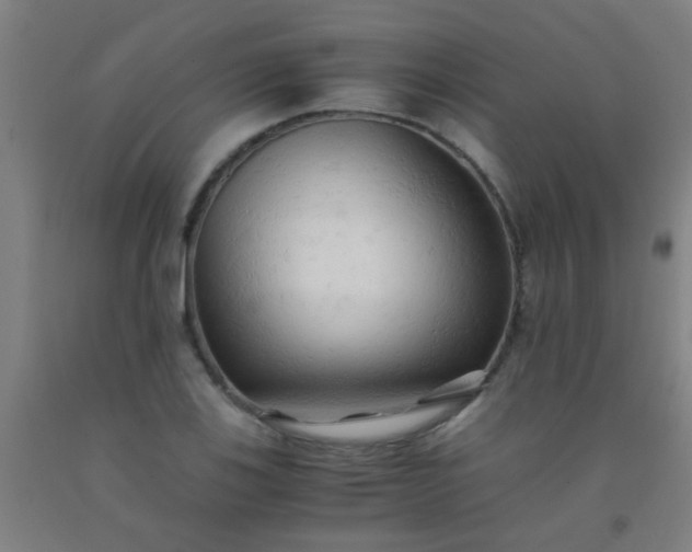 X0000092311123200709281341