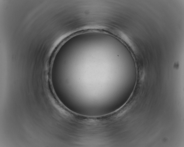 X0000092311124200709281341