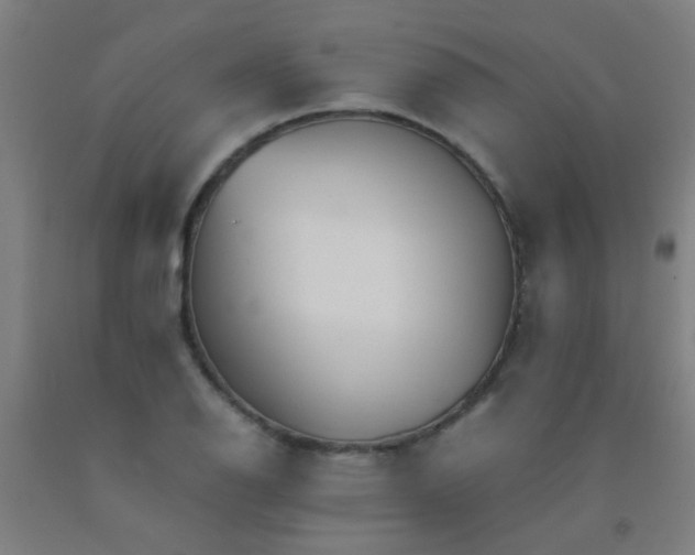 X0000092311126200709281341