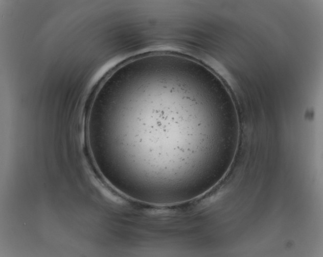 X0000092311127200709281341