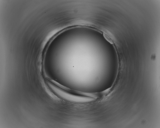 X0000092311128200709281341