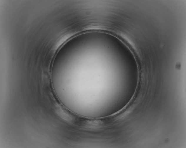 X0000092311129200709281341
