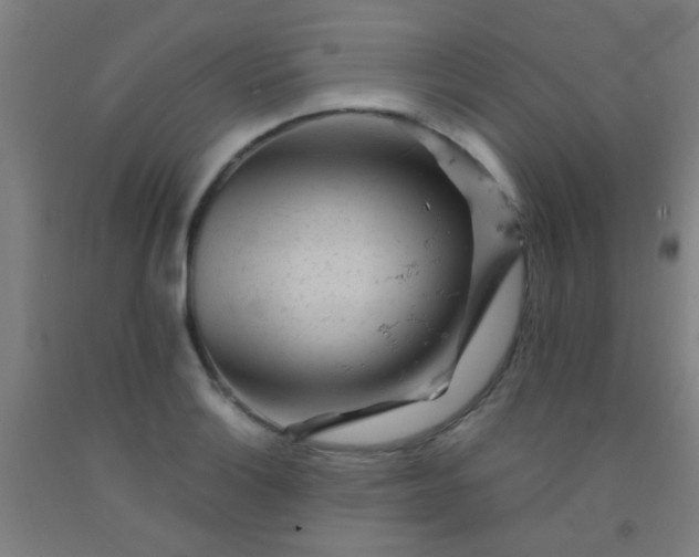 X0000092311132200709281341