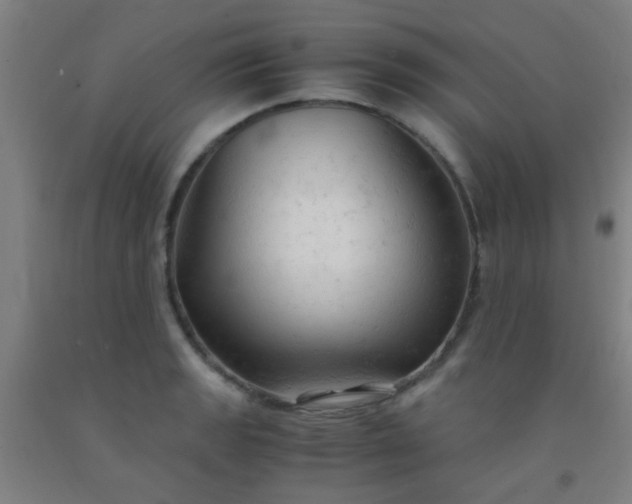 X0000092311133200709281341
