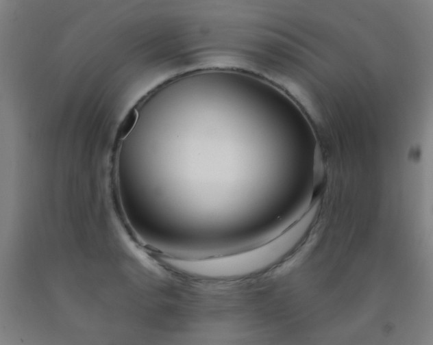 X0000092311134200709281341