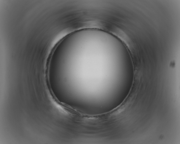 X0000092311135200709281341