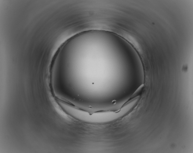 X0000092311136200709281341