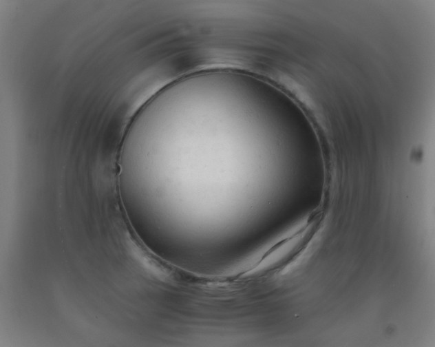 X0000092311137200709281341