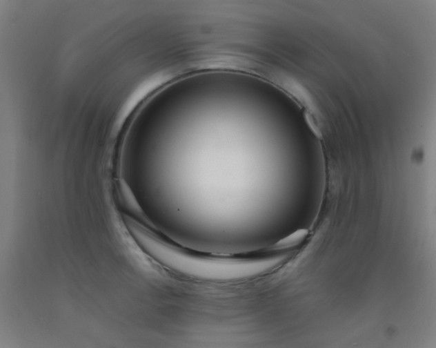X0000092311138200709281341