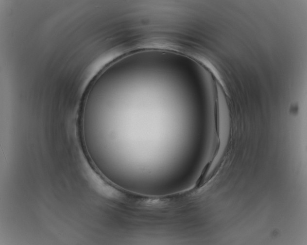 X0000092311139200709281341
