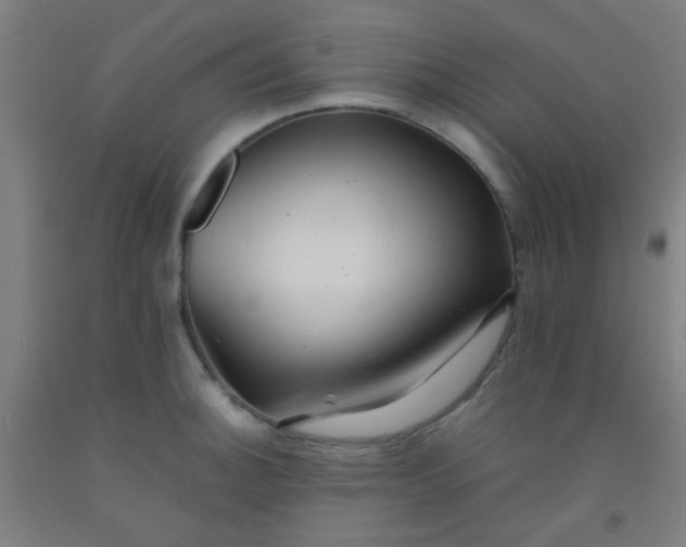 X0000092311140200709281341
