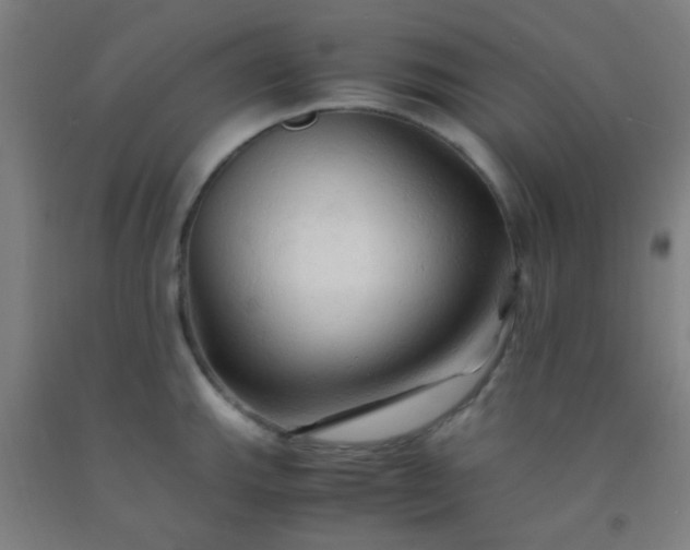 X0000092311143200709281341