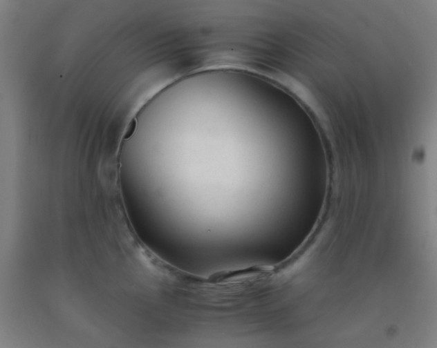 X0000092311145200709281341