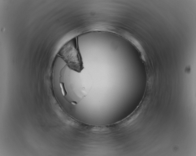 X0000092311146200709281341