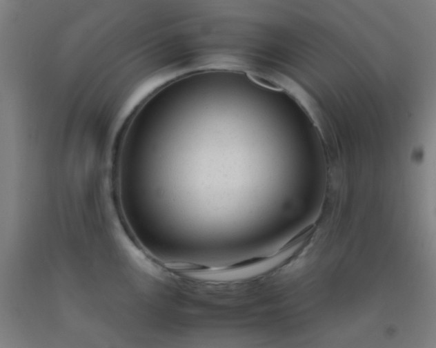 X0000092311147200709281341