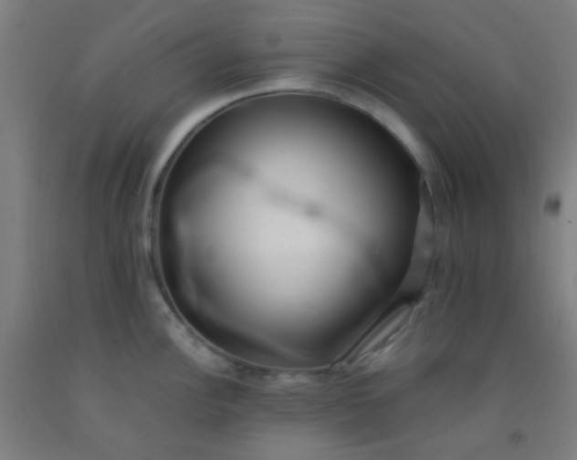 X0000092311148200709281341