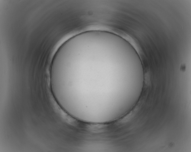 X0000092311150200709281341