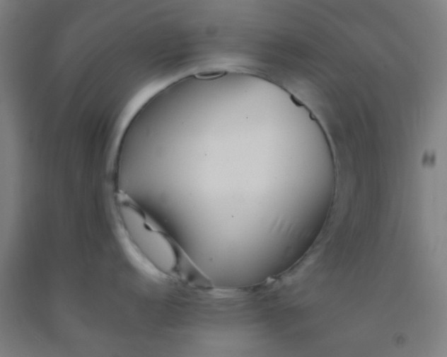 X0000092311152200709281341