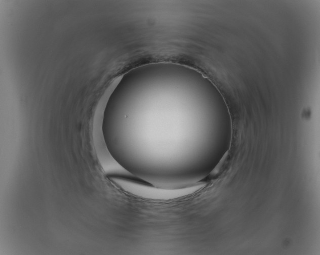 X0000092311153200709281341