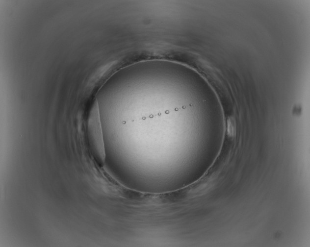 X0000092311155200709281341