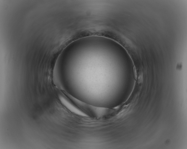 X0000092311156200709281341