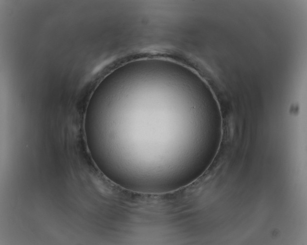 X0000092311158200709281341