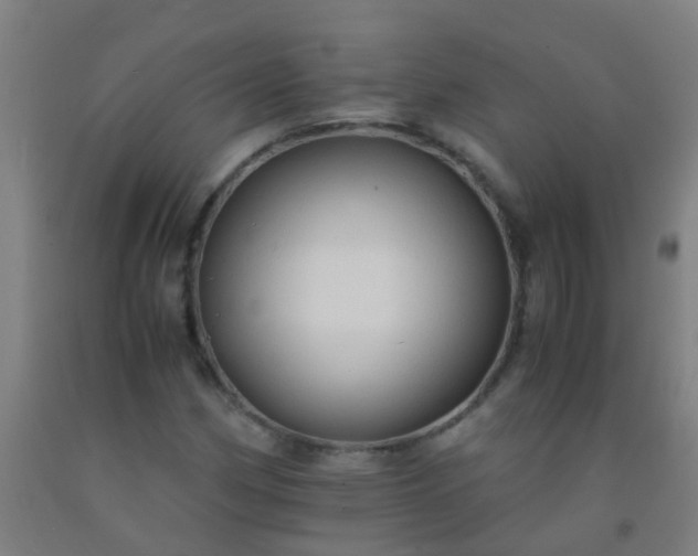 X0000092311162200709281341
