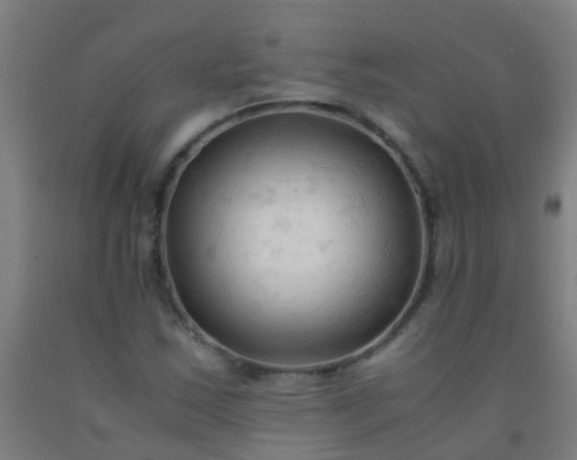 X0000092311163200709281341