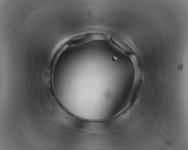 X0000092311164200709281341