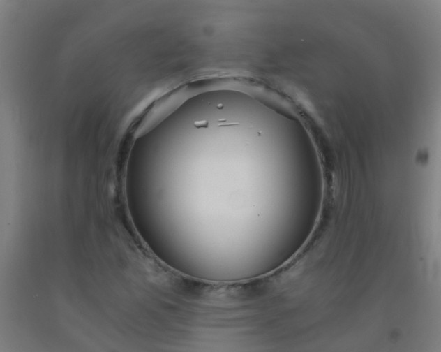 X0000092311165200709281341
