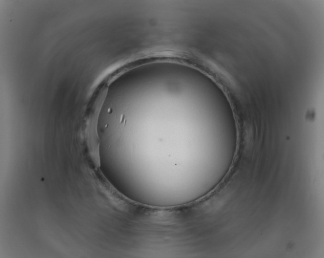 X0000092311166200709281341