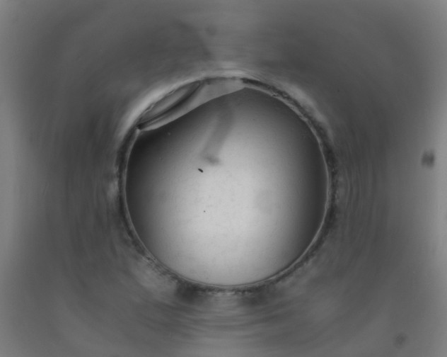 X0000092311167200709281341