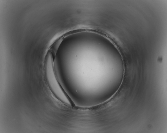 X0000092311168200709281341