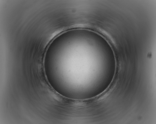 X0000092311170200709281340