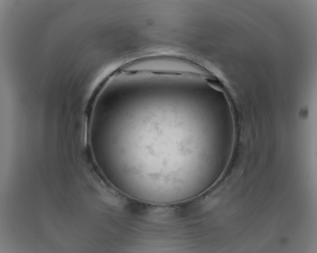 X0000092311171200709281340